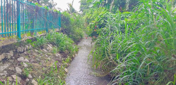 BÁN LÔ ĐẤT VIEW SUỐI, MẶT TIỀN ĐƯỜNG NHỰA, THỔ CƯ, NẰM CẠNH HỒ ĐÁ ĐEN VÀ SÂN GOLF CHÂU ĐỨC - 5