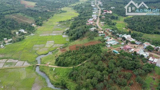 🔥 MINI FARM, VIEW SUỐI, VIEW CÁNH ĐỒNG 🔥 - 1