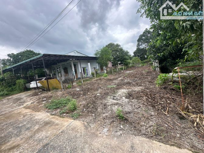 🔵7x29(202,8m2) Hẻm Bùi Hữu Nghĩa, Tân An, LaGi Giá Rẻ - 2