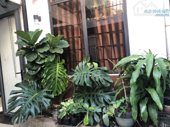 BÁN NHÀ ĐƯỜNG TRƯƠNG CÔNG ĐỊNH VỊ TRÍ ĐẸP NGANG RỘNG GIÁ TỐT - 4