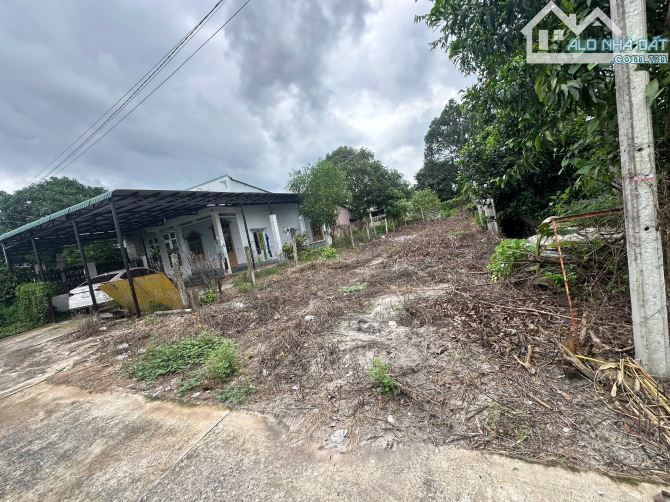 🔵7x29(202,8m2) Hẻm Bùi Hữu Nghĩa, Tân An, LaGi Giá Rẻ - 5