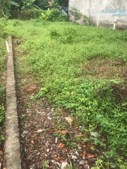 Bán đất Mặt tiền đường Linh Đông Giá 20 tỷ/ 280m2 - 2