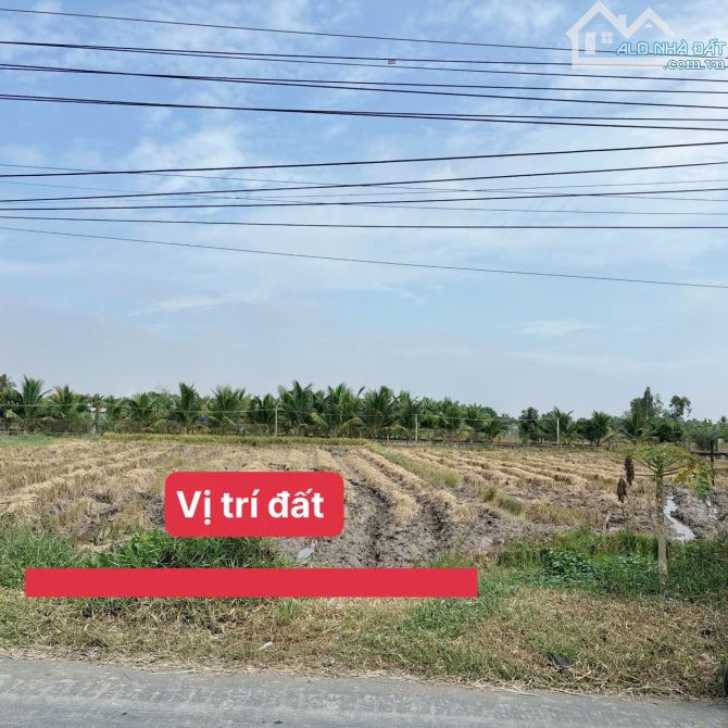 1361m2 đất lúa mặt tiền Tỉnh 833 đức tân_Tân trụ_Long An 1ty590 triệu rẻ ngộp