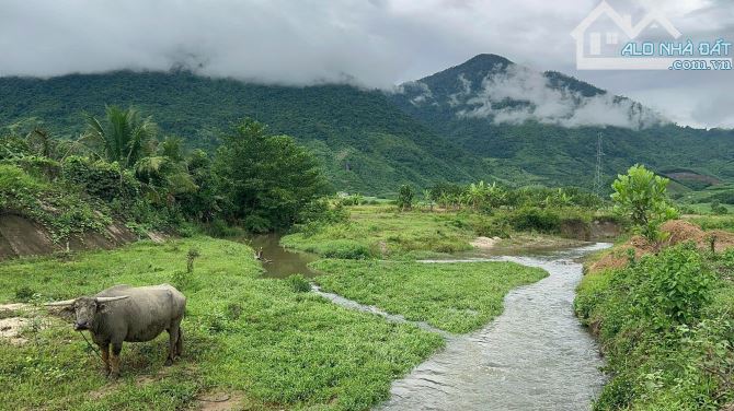 bán đất giáp Suối rộng 8.000m2 gần uỷ ban xã Khánh Trung, Khánh Vĩnh giá rẻ - 4