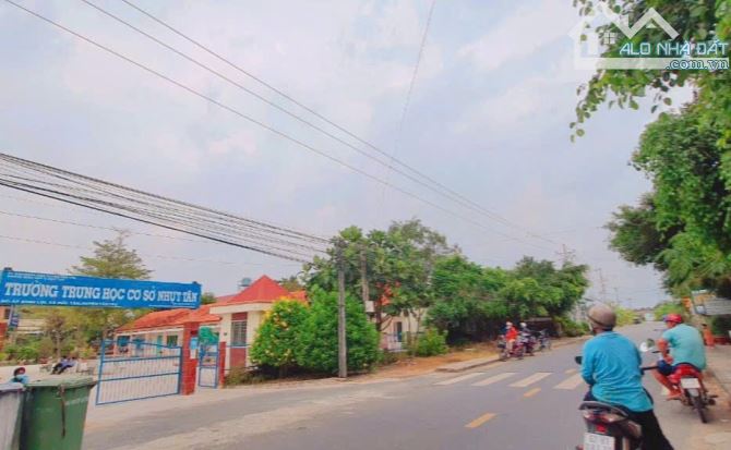 1361m2 đất lúa mặt tiền Tỉnh 833 đức tân_Tân trụ_Long An 1ty590 triệu rẻ ngộp - 4