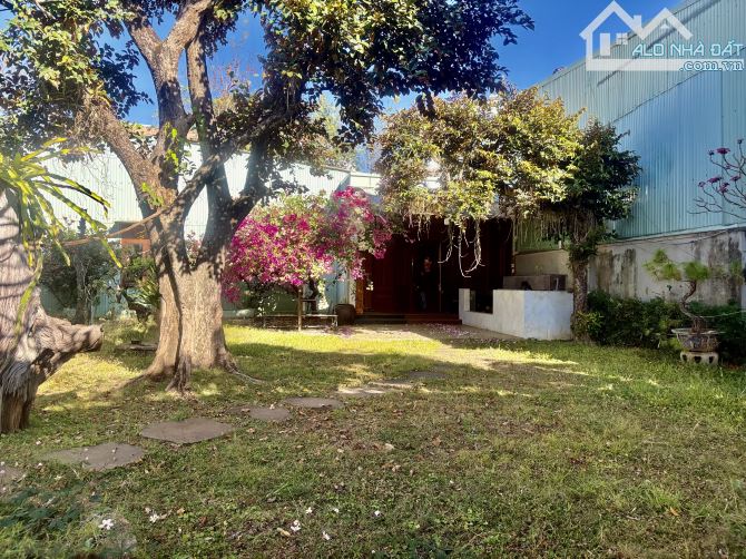 🌱 Siêu phẩm nhà sân vườn 1000m2 ngay trung tâm phường Pleiku