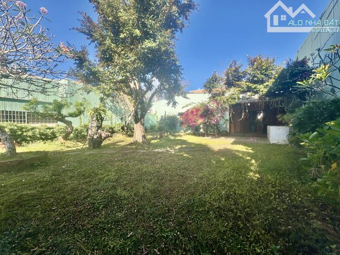 🌱 Siêu phẩm nhà sân vườn 1000m2 ngay trung tâm phường Pleiku - 1