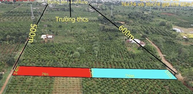 Đất MT đường 14m , 1000m2, Chư sê, Gia lai - 1