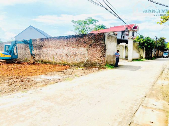 Siêu phẩm trục chính Xuân Đồng, Tân Minh giá cho nhà đầu tư siêu lợi nhuận - 2