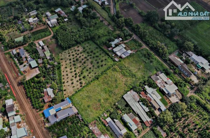LÔ ĐẤT BIỆT THỰ VƯỜN TUYỆT ĐẸP MẶT TIỀN 56B SUỐI NGHỆ, THỔ CƯ, CÓ HỒ BƠI, VƯỜN CÂY ĂN TRÁI - 3