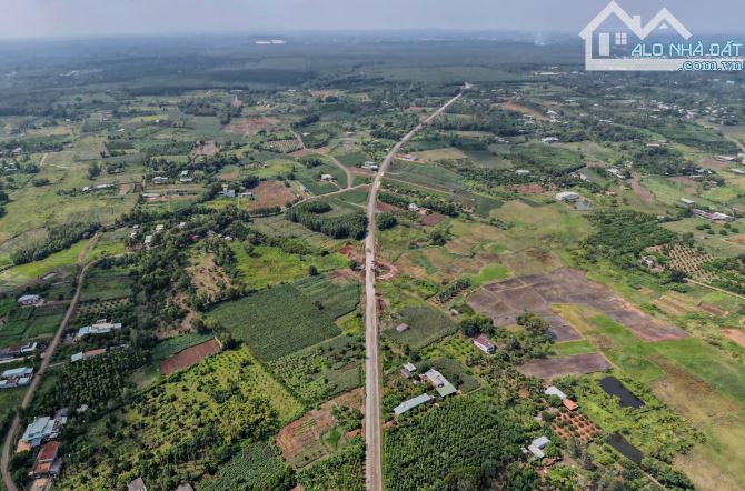 LÔ ĐẤT BIỆT THỰ VƯỜN TUYỆT ĐẸP MẶT TIỀN 56B SUỐI NGHỆ, THỔ CƯ, CÓ HỒ BƠI, VƯỜN CÂY ĂN TRÁI - 4