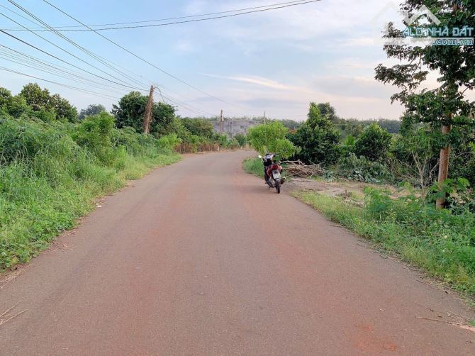 Bán khoảng 1 sào 5 (1504m2) đất Đá Bạc, huyện Châu Đức, BRVT. - 4