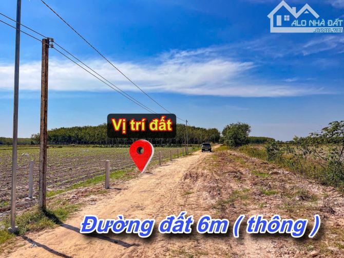 ✨ 5x49.7m (Full ONT) đường hiện hữu 6M thông ra 2 đầu Nhựa (QHLG: 20M) - GIÁ SIÊU RẺ 209TR