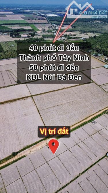 ✨ 5x49.7m (Full ONT) đường hiện hữu 6M thông ra 2 đầu Nhựa (QHLG: 20M) - GIÁ SIÊU RẺ 209TR - 10