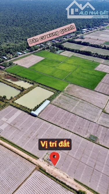 ✨ 5x49.7m (Full ONT) đường hiện hữu 6M thông ra 2 đầu Nhựa (QHLG: 20M) - GIÁ SIÊU RẺ 209TR - 12