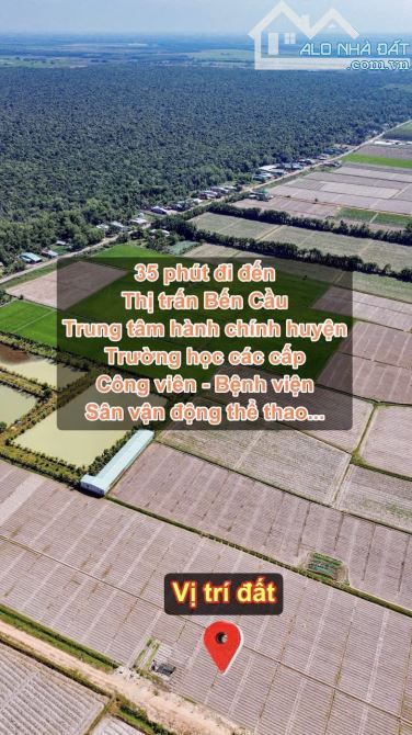 ✨ 5x49.7m (Full ONT) đường hiện hữu 6M thông ra 2 đầu Nhựa (QHLG: 20M) - GIÁ SIÊU RẺ 209TR - 14