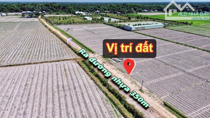 ✨ 5x49.7m (Full ONT) đường hiện hữu 6M thông ra 2 đầu Nhựa (QHLG: 20M) - GIÁ SIÊU RẺ 209TR - 2