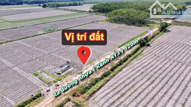 ✨ 5x49.7m (Full ONT) đường hiện hữu 6M thông ra 2 đầu Nhựa (QHLG: 20M) - GIÁ SIÊU RẺ 209TR - 3