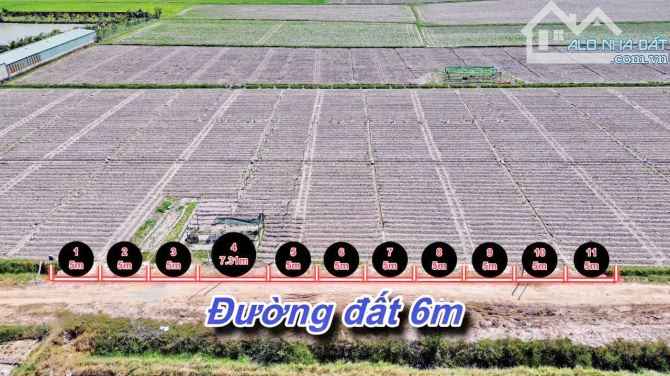 ✨ 5x49.7m (Full ONT) đường hiện hữu 6M thông ra 2 đầu Nhựa (QHLG: 20M) - GIÁ SIÊU RẺ 209TR - 4