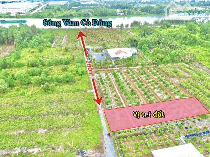 300 m2 FULL THỔ CƯ THẠNH ĐỨC BẾN LỨC LONG AN