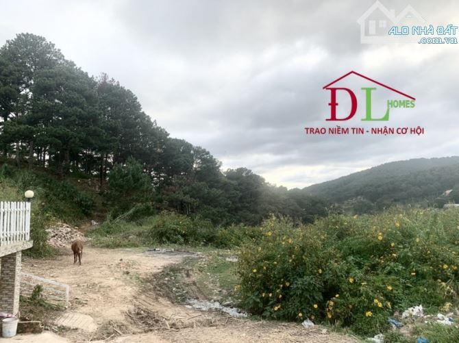 706 🏞⛺️🏡 ĐẤT NGÔ THÌ SỸ 1.648M2 CÓ THỂ CHUYỂN THỔ CƯ -VIEW ĐẸP NGAY TRUNG TÂM- ĐƯỜNG OTO