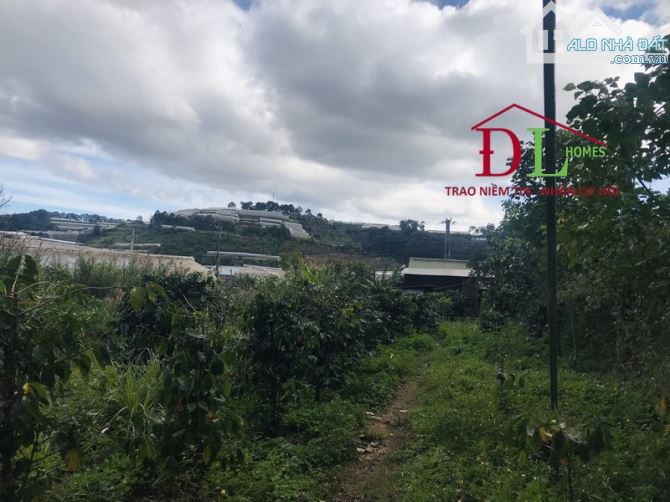 714 🏞⛺️🏡 ĐẤT 2 MẶT TIỀN CAM LY - ĐƯỜNG RỘNG 20MET - VIEW ĐẸP - CÓ THỂ CHUYỂN XD - 1