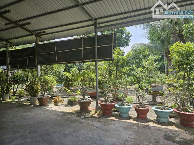 Bán gấp căn nhà vườn 1440mv tại thị xã trảng bàng tp tây ninh - 2