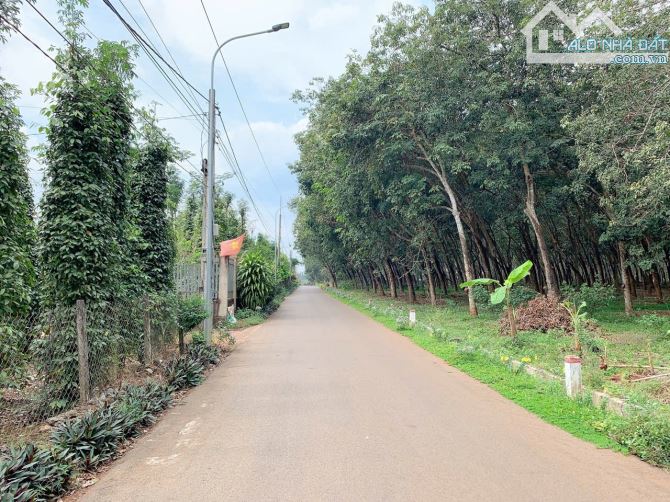 Bán khoảng 4 sào 3 (4273m2) đất Xà Bang, huyện Châu Đức, BRVT.