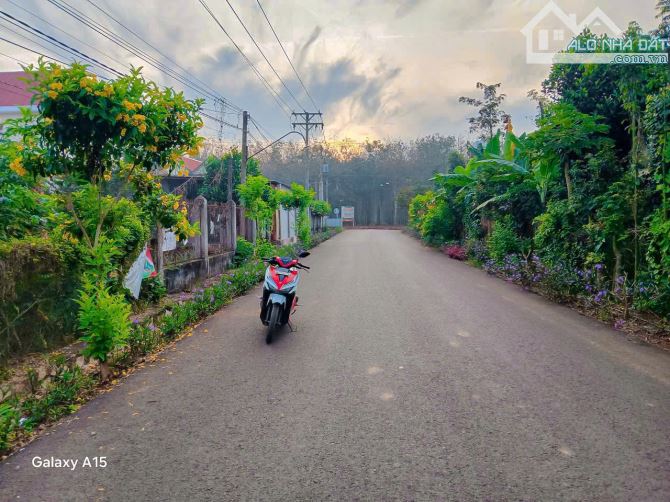 LÔ ĐẤT TUYỆT ĐẸP NẰM SÁT TỈNH LỘ, SẴN THỔ CƯ, NỞ HẬU, BÁN KÍNH 1KM ĐỦ MỌI TIỆN ÍCH - 4