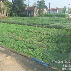 Bán đất Đa Lộc,  Hậu Lộc, Thanh Hóa - 1
