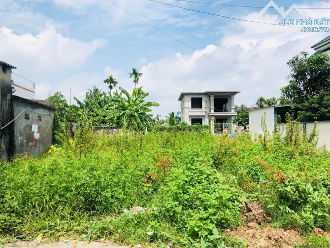 Đất Kim Liên, Kim Thành- HD Hơn 100m2 giá hơn 9tr/m, đường trục chính 2 ôtô. Quan tâm ib - 1