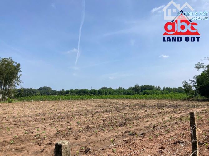 Cơ Hội Sở Hữu Lô Đất 4400m² Ngay Khu Dân Cư Tân Thịnh – Giá Chỉ 1,1 Triệu/m²,Cách KCN - 3