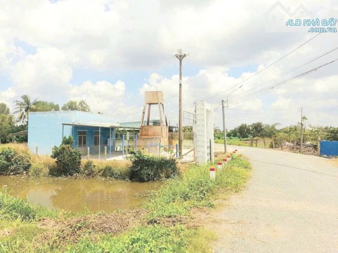 Hàng thơm, 147m2 đất thổ view kênh đường nhựa 6m cực đẹp - 5