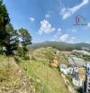 3170 🏞⛺️🏡 ĐẤT 2 MẶT TIỀN AN SƠN - VIEW ĐỐI THÔNG CỰC ĐẸP - GIÁ CHỈ 25TR/M2 - ĐƯỜNG 8M