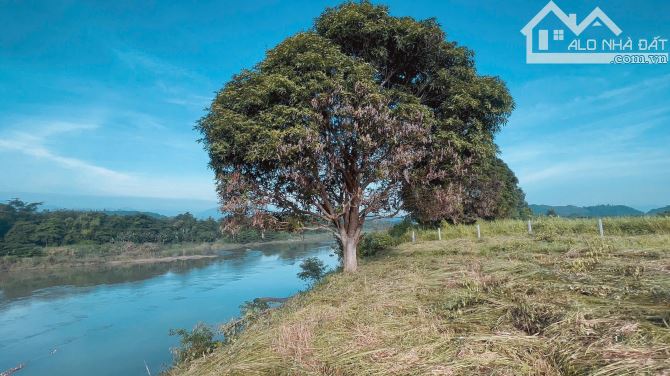 Bán đất view sông Cái - Diên Đồng, Diên Khánh.