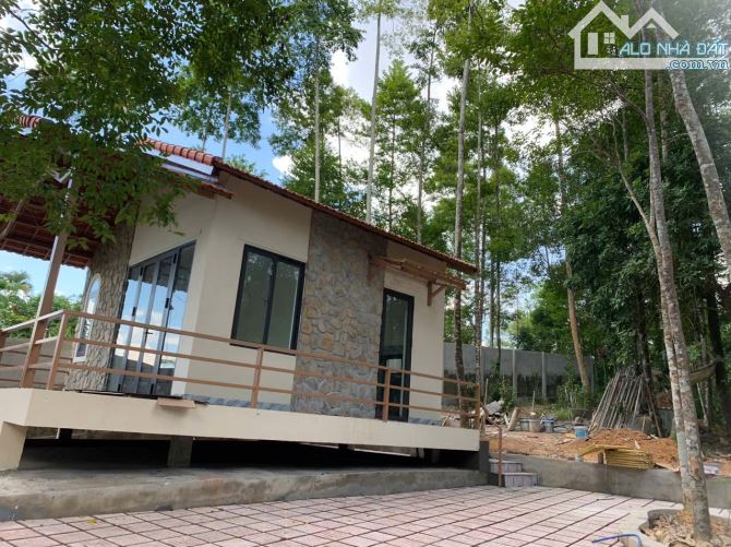 ĐẤT NỀN TP HUẾ VIEW ĐỒI THÔNG PHÙ HỢP DU LỊCH NGHĨ DƯỠNG 7.500M2 GIÁ 16,9 TỶ - 1