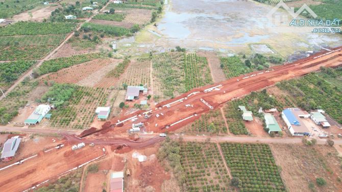 Cần bán nhanh lô đất mặt tiền đường Hành Lang Kinh Tế Phía Đông, Pleiku, Gia Lai - 2