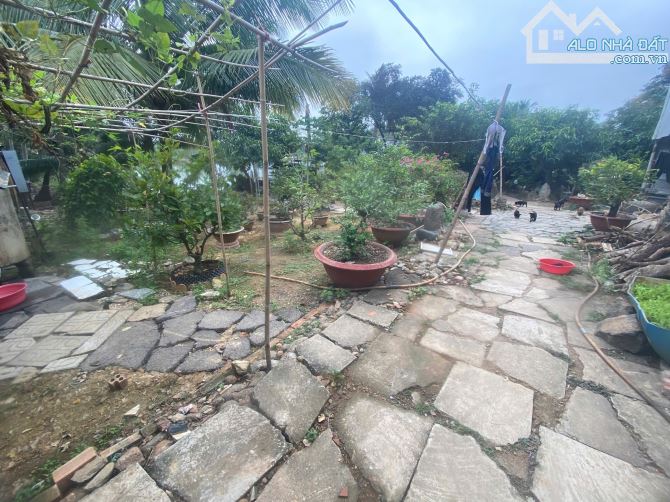 ban lô đất ở tại nông thôn 155m2 và 2,5 xào đất vườn nghĩ dưỡng,mặt tiền đường nhựa - 3