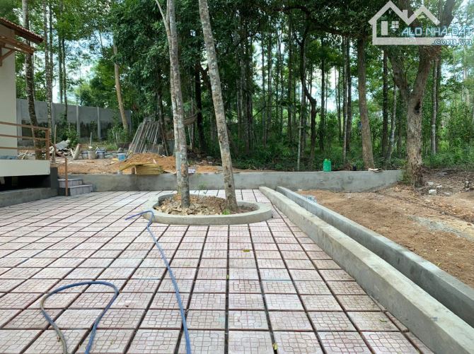 ĐẤT NỀN TP HUẾ VIEW ĐỒI THÔNG PHÙ HỢP DU LỊCH NGHĨ DƯỠNG 7.500M2 GIÁ 16,9 TỶ - 3