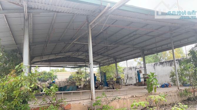 HÀNG CỰC HIẾM 5000M2, 50M X 100M MẶT TIỀN ĐƯỜNG XE CONTAINER VÀO TẬN NƠI, HIỆN TRẠNG ĐẤT S - 4