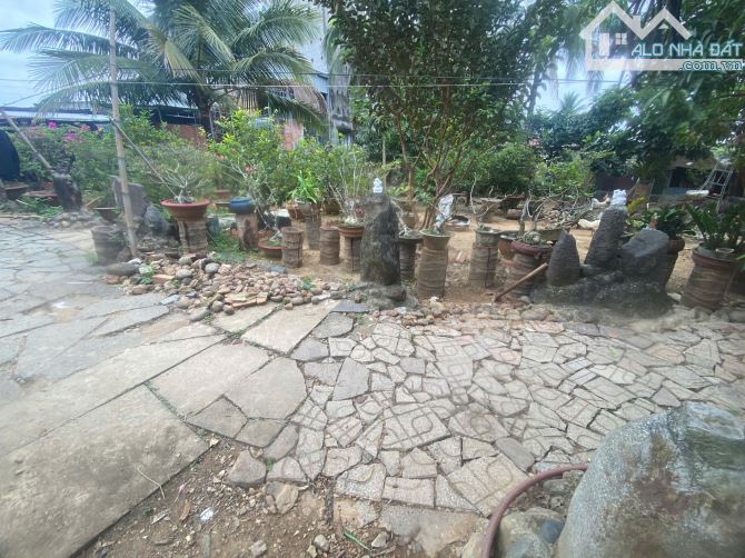 ban lô đất ở tại nông thôn 155m2 và 2,5 xào đất vườn nghĩ dưỡng,mặt tiền đường nhựa - 5
