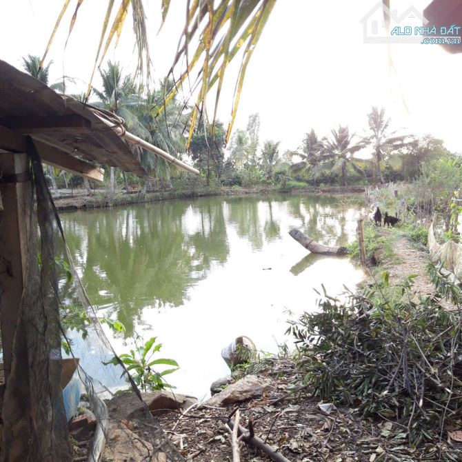 ban lô đất ở tại nông thôn 155m2 và 2,5 xào đất vườn nghĩ dưỡng,mặt tiền đường nhựa - 7