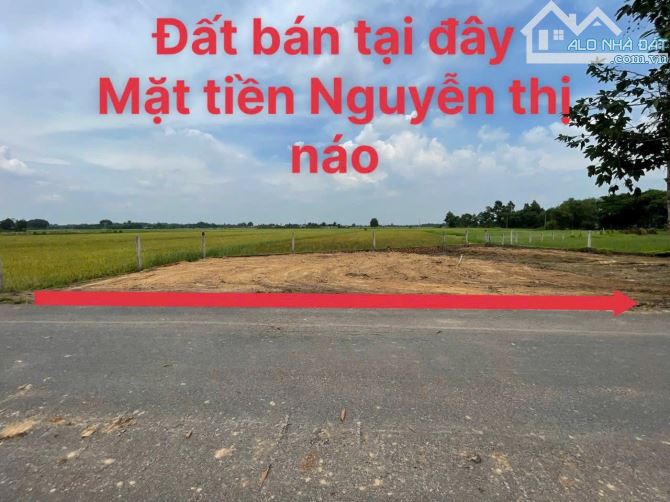 Bán đất mặt tiền đường nhựa Nguyễn Thị Náo, huyện Củ Chi:  17x17, 1,55 tỷ