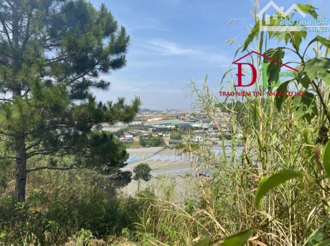 1159 🏞⛺️🏡 ĐẤT XÂY DỰNG ĐỒI HUY HOÀNG - 295M2 (12x24) LỢI HẦM VIEW THUNG LŨNG - ĐƯỜNG 12M - 1