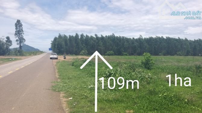 10.100m2 mặt tiền QL55B 109m, ra đường dẫn cao tốc 280m giá rẻ. - 3
