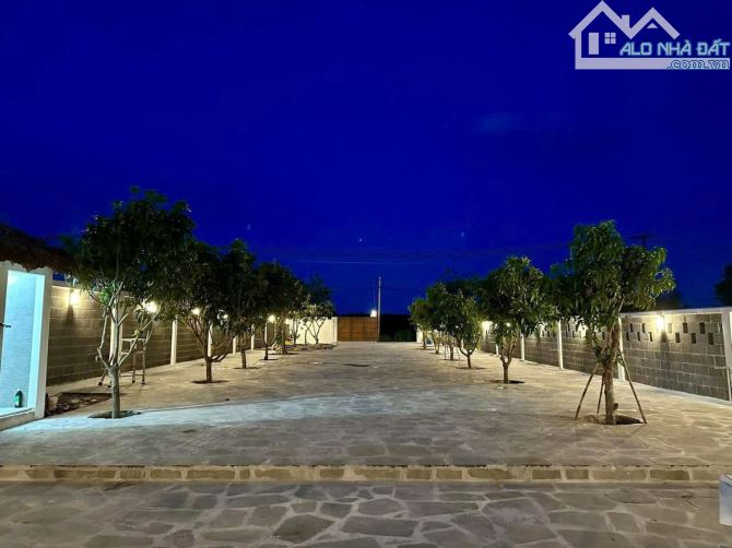 Bán lô đất mặt tiền Tôn Thất Thuyết,  cách biển Phước Hải, Đất Đỏ 2km. 877m2 giá rẻ. - 3