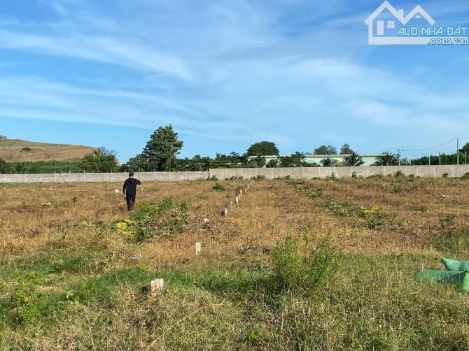 1248m2 thị trấn Đất Đỏ, TL 52 vào 300m2. Sổ riêng, thổ cư, 2 tỷ 200 thương lượng