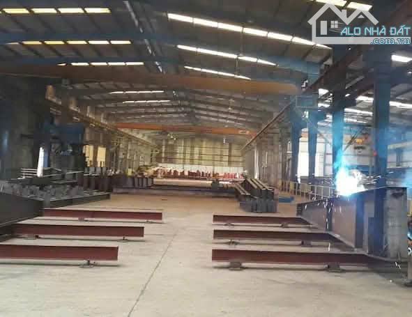 Cho thuê kho xưởng dt 3000m 10000m, cẩu trục 10 tấn, cao 12m CCN Minh Đức