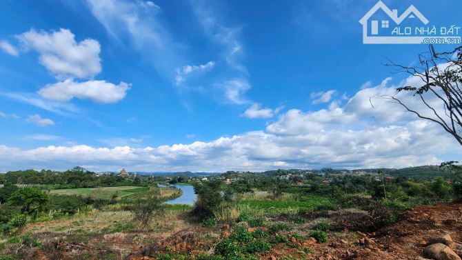 View Làng Chùa Đại Ninh, 1234m2-75Tc, Mt17m, nhựa lớn, 3ty 600 Triệu - 10