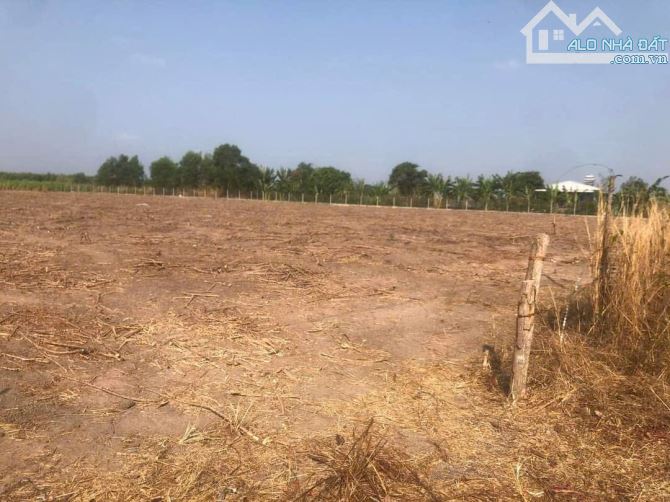 Cho thuê lâu dài 2000m2, 3000m2, 4000m2, 6000m2, 9000m2, đất  tiền đường Nguyễn Hữu Thọ. - 1